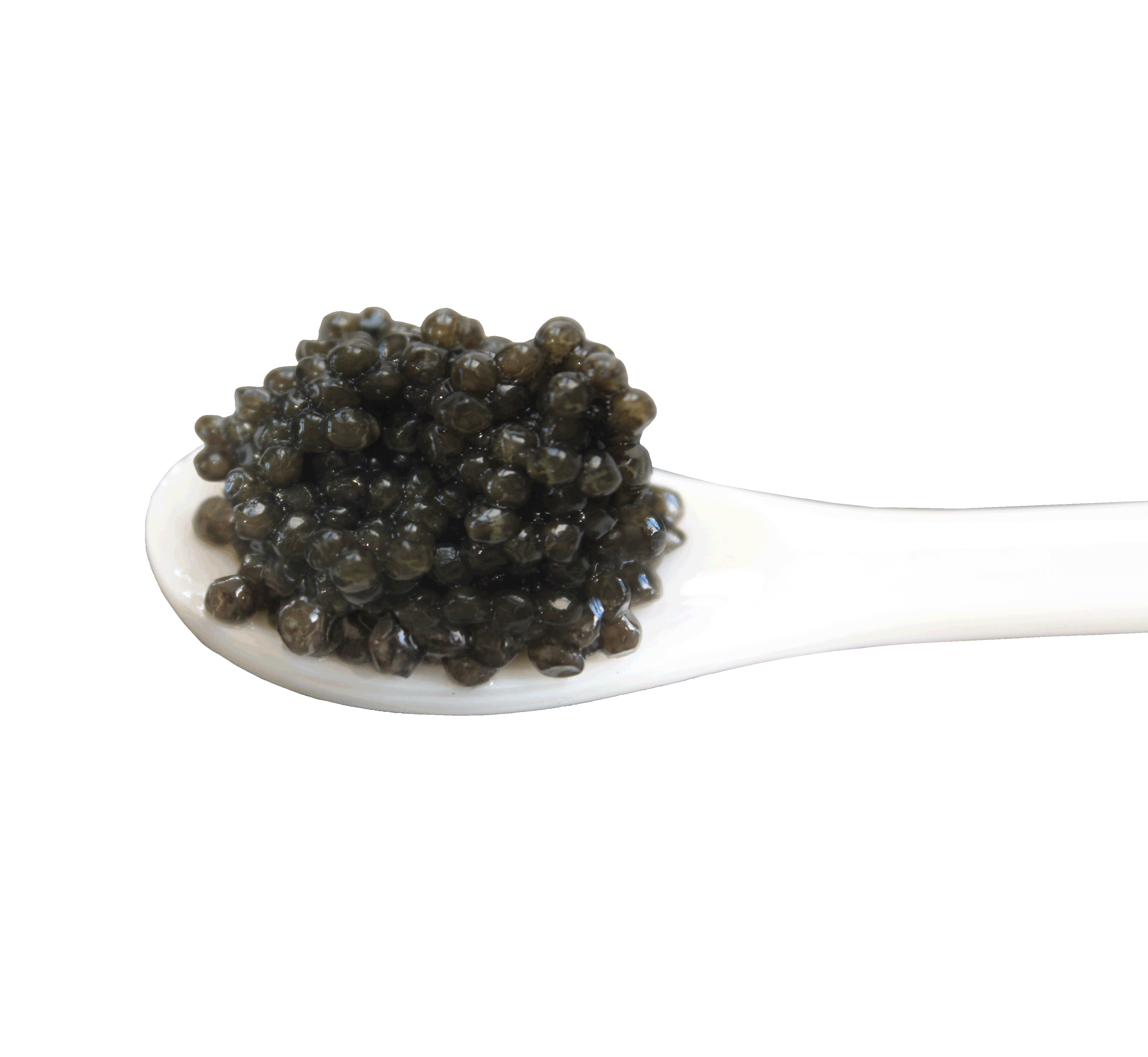 Caviar Caviar